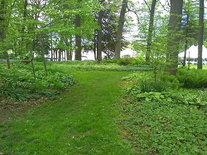 Photo by Ron Burt DJ